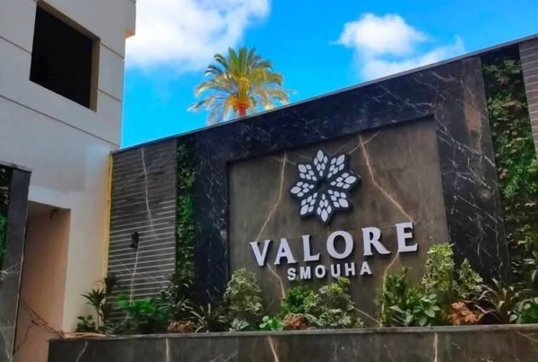 El Ghonemy Developments