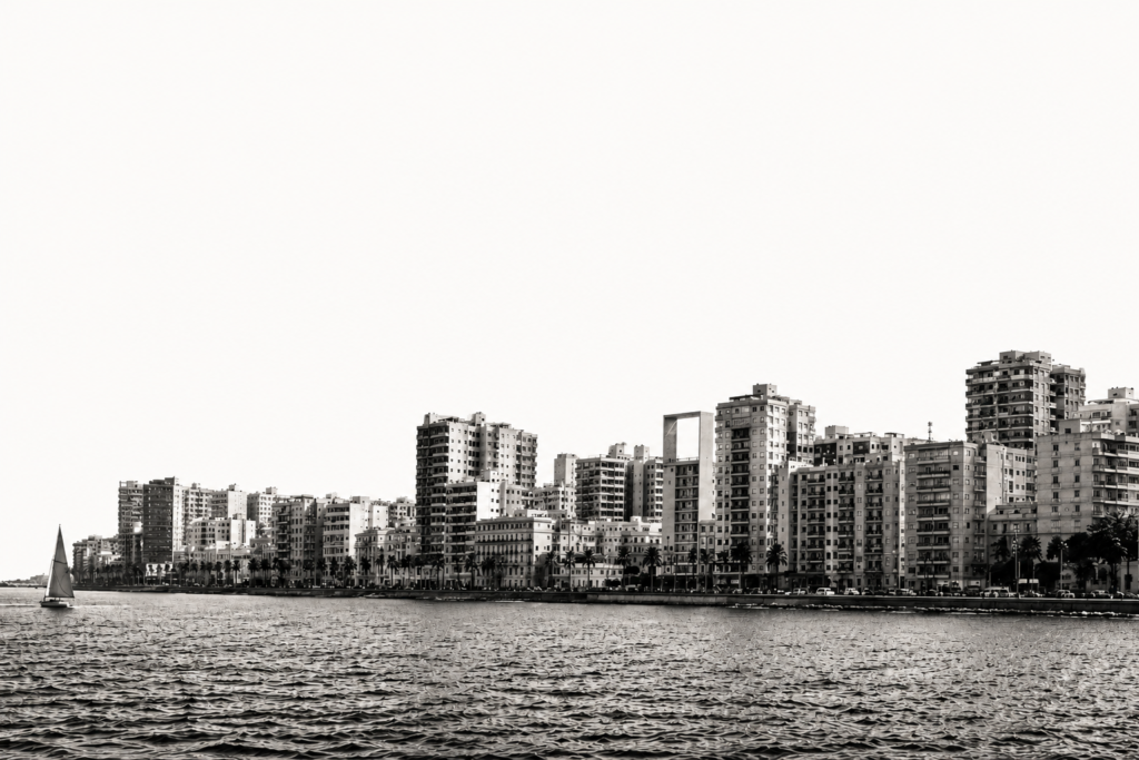 El Ghonemy Developments